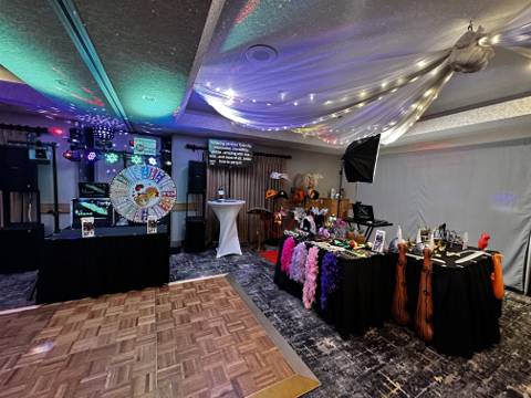 Party on the Island - Entertainment / DJ - Victoria, Vancouver Island (photo 4)