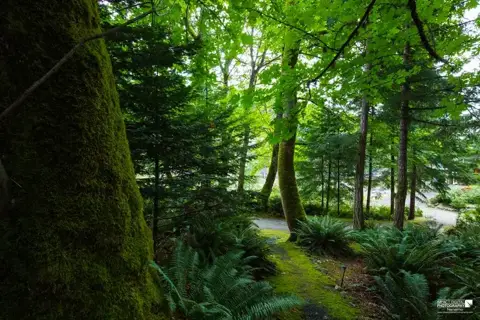 Gowlland Harbour Resort - Venues - Nanaimo, Vancouver Island (photo 3)