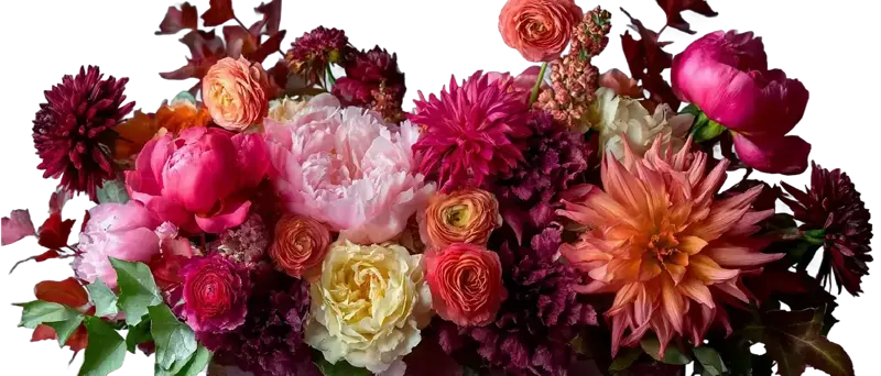 Small Flower - Florists - Banff, Alberta (photo 4)