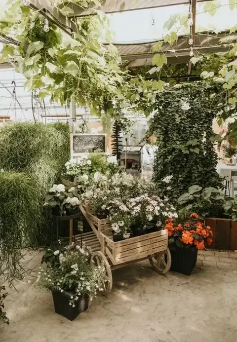 SpringBreak Flower Farm - Venues - Lethbridge, Alberta (photo 3)
