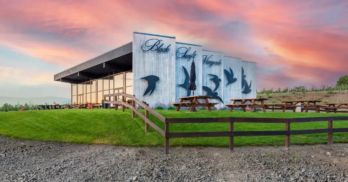 Black Swift Vineyards - Venues - Kelowna, Mainland BC (photo 1)
