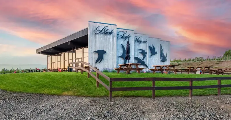 Black Swift Vineyards - Venues - Kelowna, Mainland BC (photo 1)