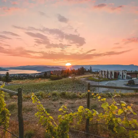 Black Swift Vineyards - Venues - Kelowna, Mainland BC (photo 2)