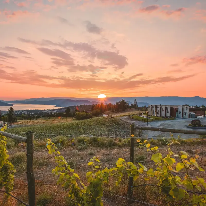 Black Swift Vineyards - Venues - Kelowna, Mainland BC (photo 2)