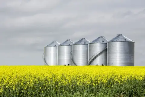 Posh Country Venue + Events - Venues - North Battleford, Saskatchewan (photo 4)