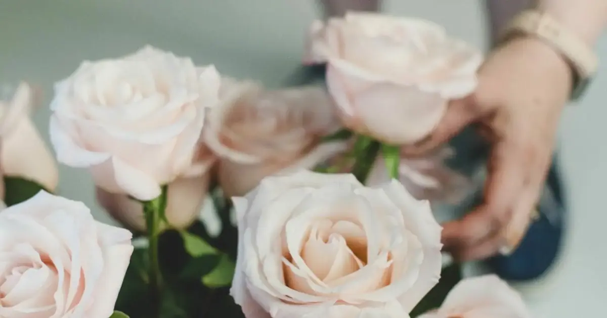 la petite Jaune Fleur - Florists - Red Deer, Alberta (photo 1)