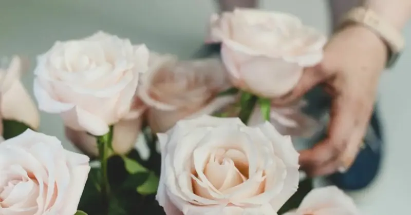 la petite Jaune Fleur - Florists - Red Deer, Alberta (photo 1)