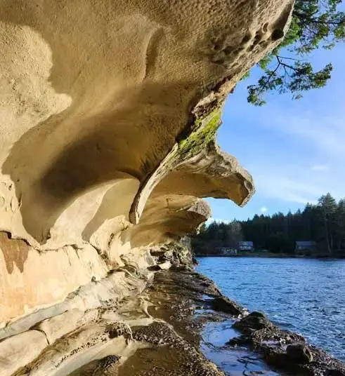 Dragon's Lodge - Venues - Nanaimo, Vancouver Island (photo 4)