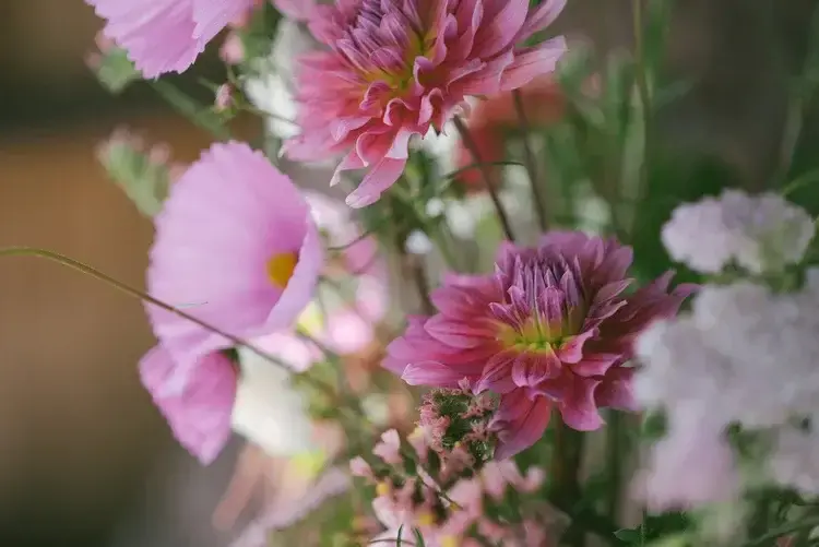 Wild Bee Florals - Florists - Comox Valley, Vancouver Island (photo 3)