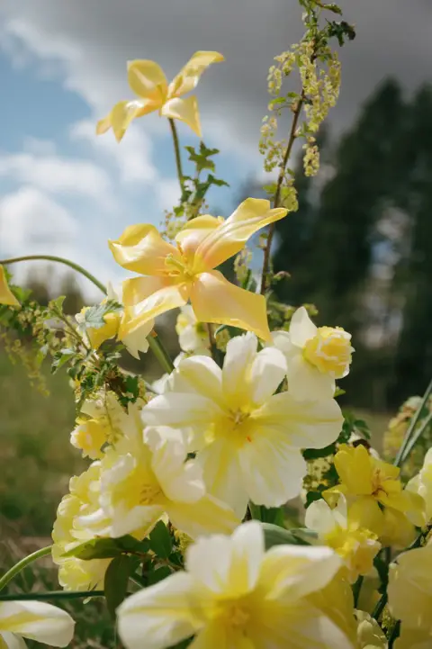 Wild Bee Florals - Florists - Comox Valley, Vancouver Island (photo 4)