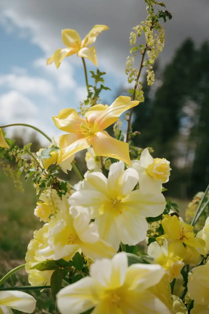 Wild Bee Florals - Florists - Comox Valley, Vancouver Island (photo 4)