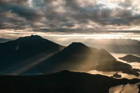 Erin Wallis Photography - Photographers - Victoria, Vancouver Island (photo 4)