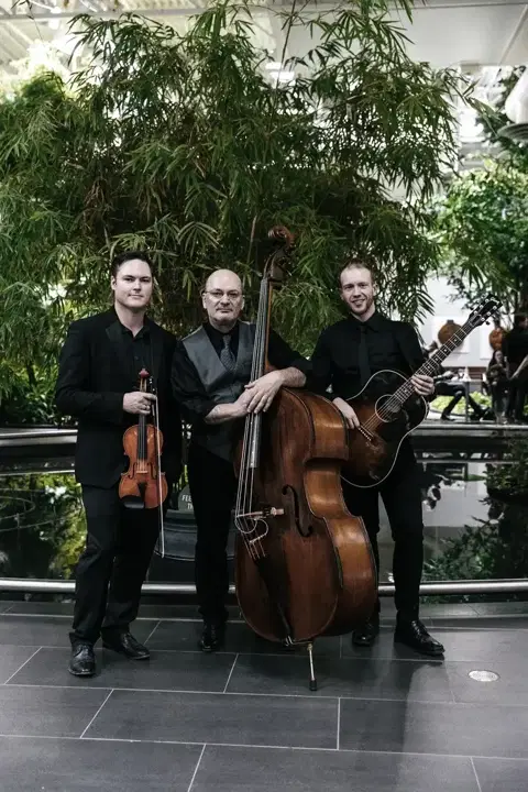 Uptown Strings - Entertainment / DJ - Banff, Alberta (photo 4)