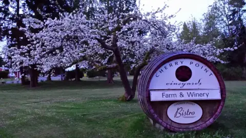 Cherry Point Estate Wines