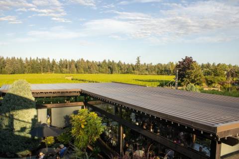 40 Knots Winery