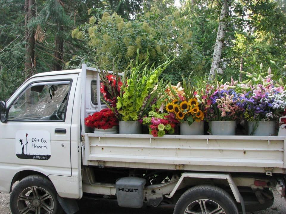 Dirtco Flowers - Florists - Campbell River, Vancouver Island (photo 1)