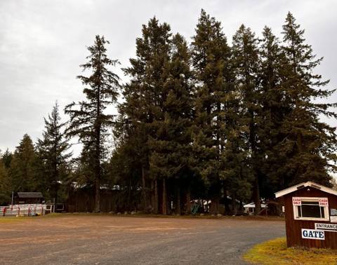 Coombs Rodeo Grounds