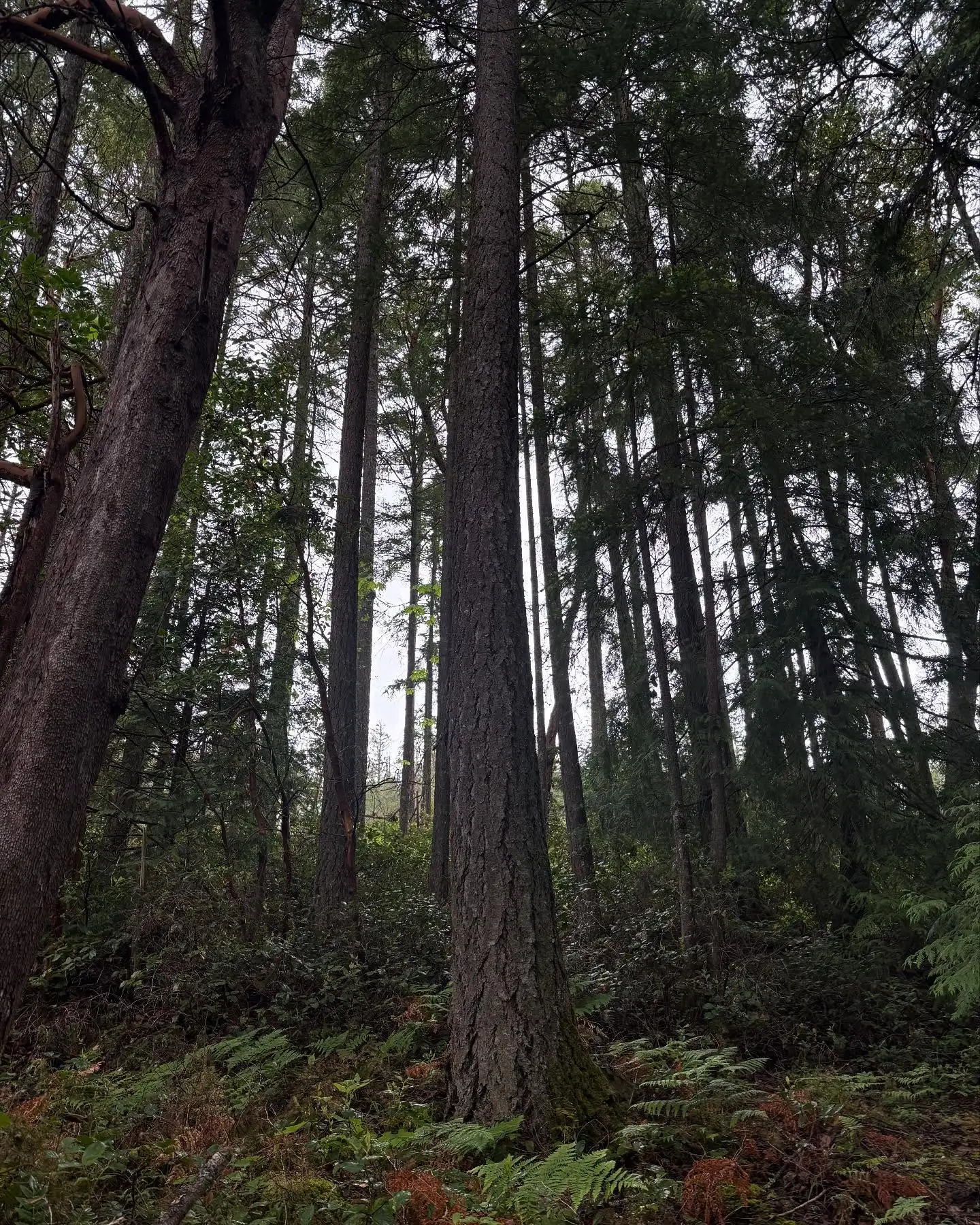 5 Beautiful Wedding Venues in Nanaimo