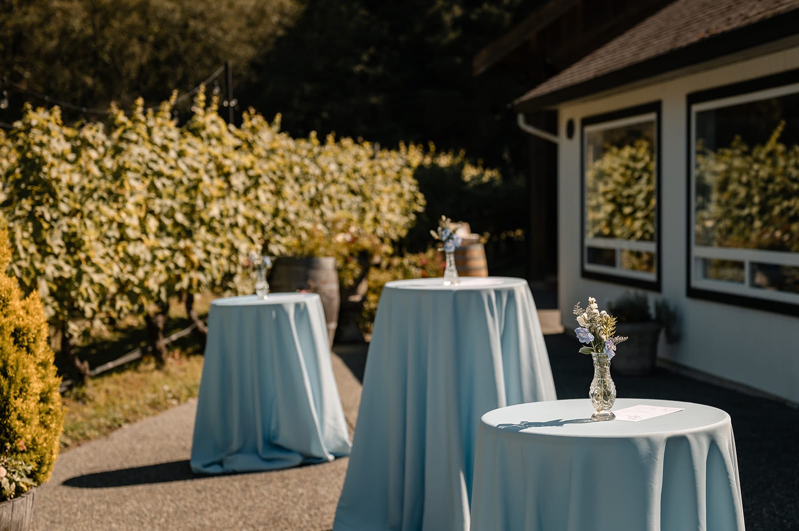 Wedding celebration at Deep Cove Winery on the Saanich Peninsula