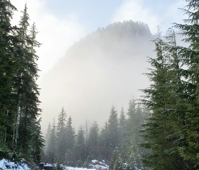 Comox Valley farmland with mountain views