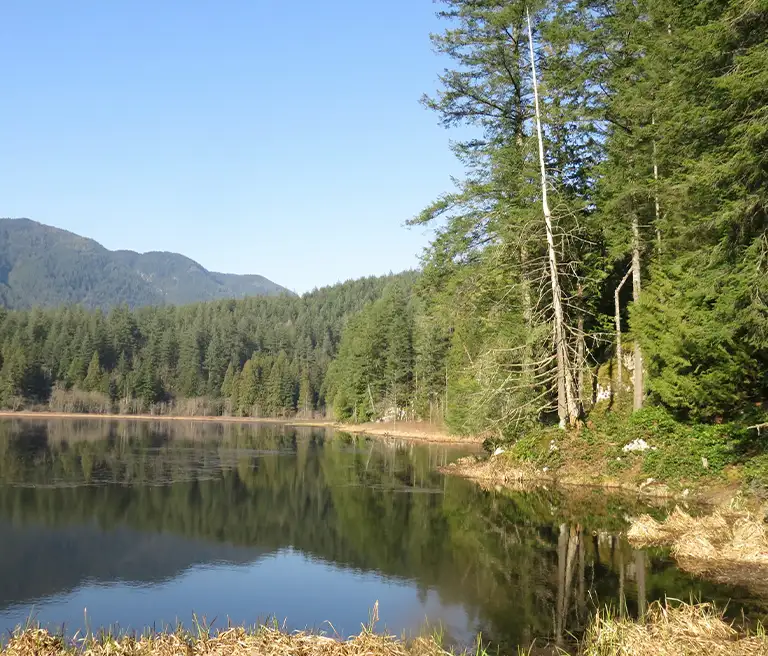 Coquitlam wedding wedding planners & coordinators