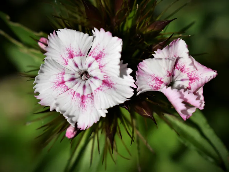 Delta wedding wedding venues