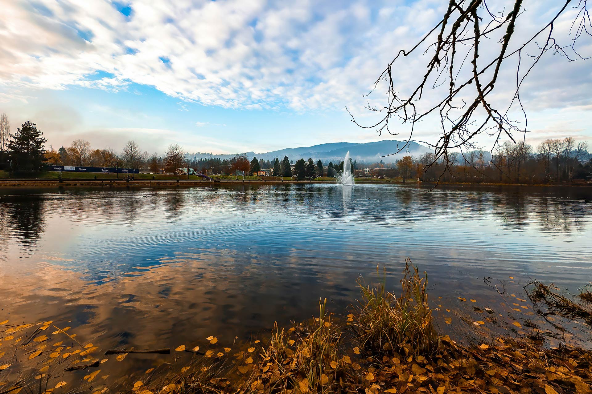 Coquitlam wedding region