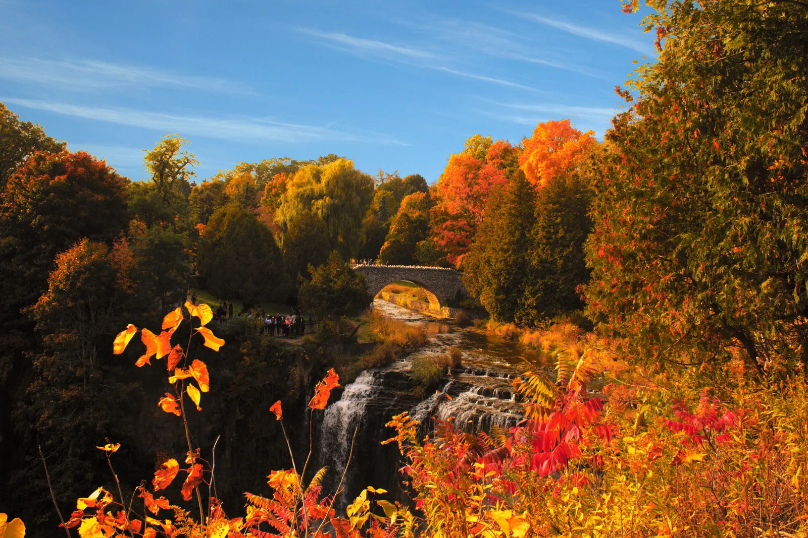 Hamilton wedding region