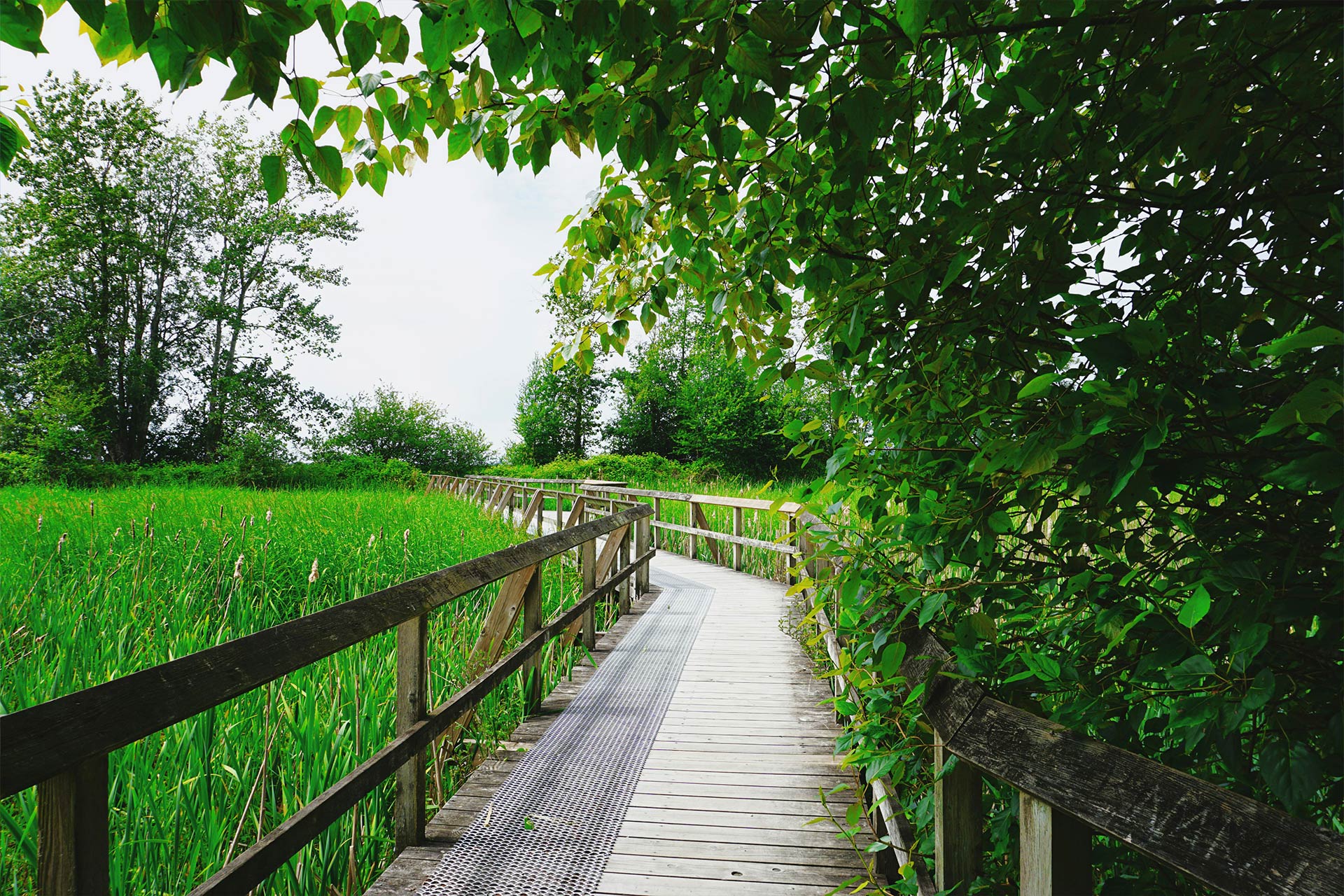 Surrey wedding region