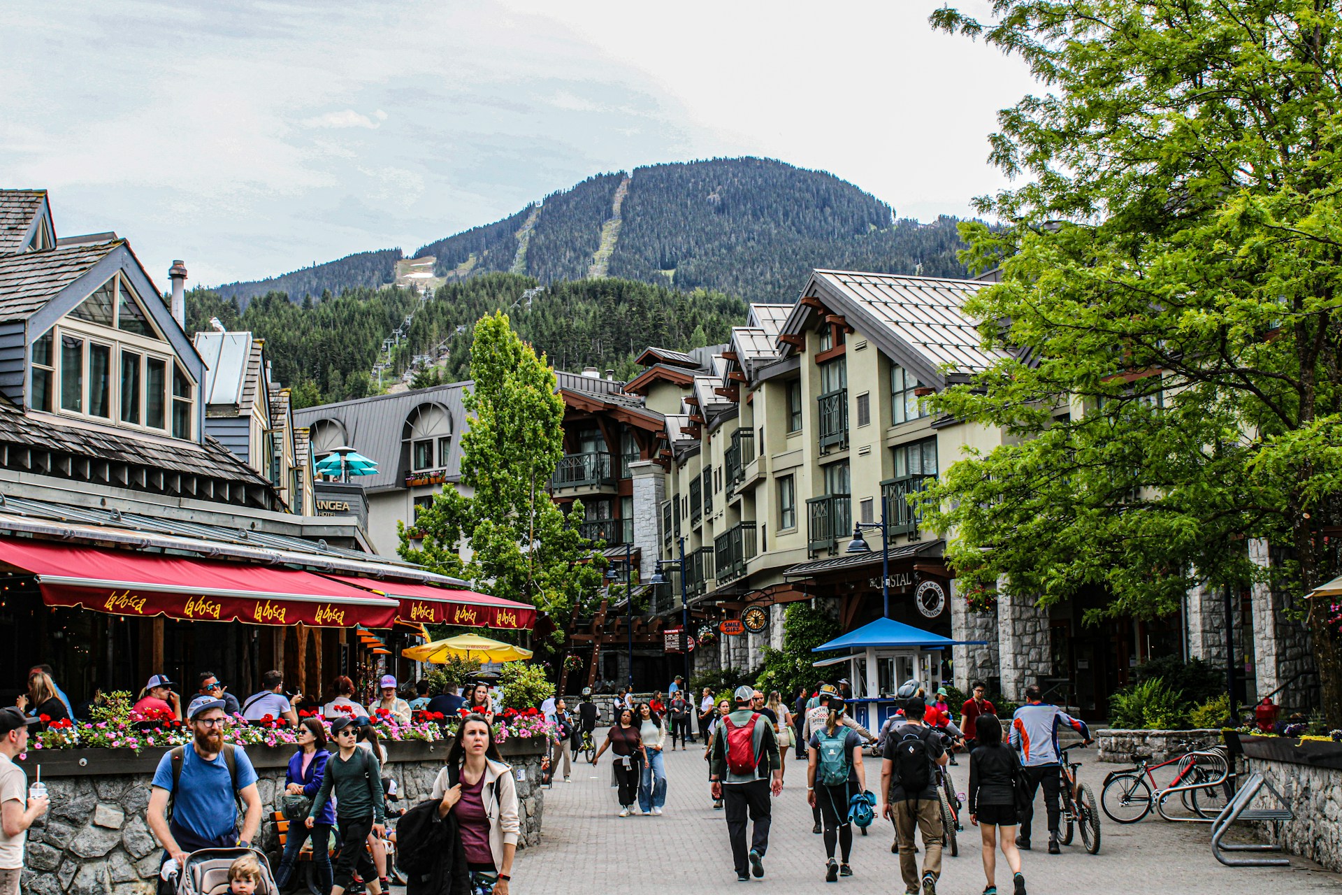 Whistler wedding region