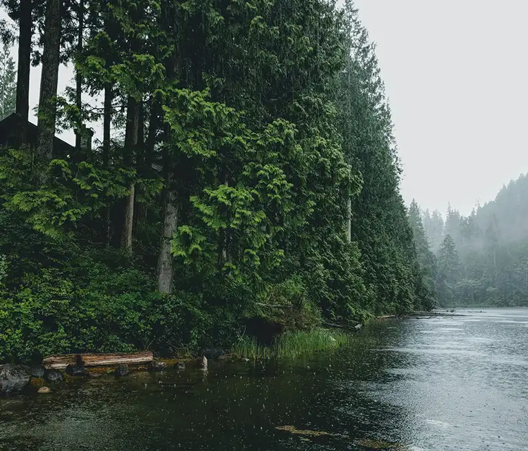 Maple Ridge wedding wedding planners & coordinators