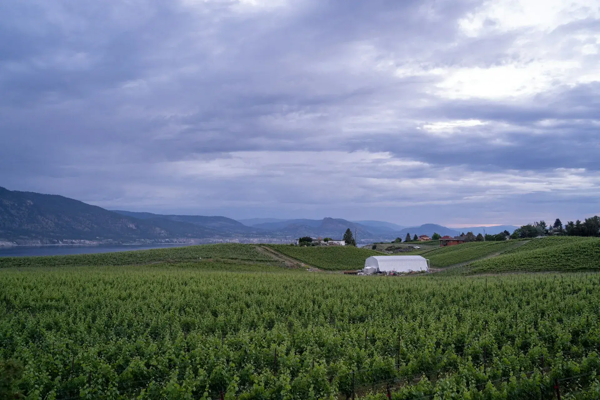 Armstrong wedding region